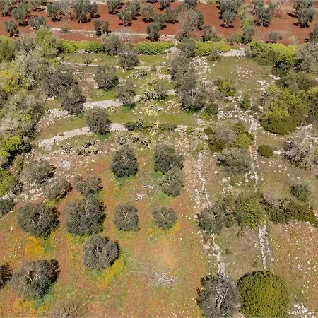 Hébergement de vacances Trullo Santa Mariae @trullo Melograno